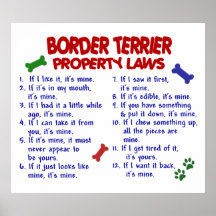 BORDER TERRIER PL2 POSTER