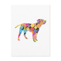 Border Terrier Postcards