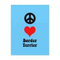 Border Terrier