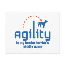 Border Terrier