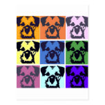 Border Terrier  Postcards