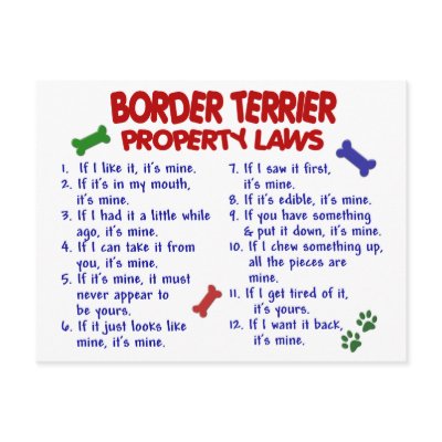 BORDER TERRIER Property Laws 2 by poochloverstuff