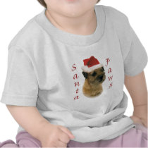 Border Terrier Santa Paws