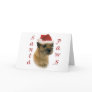 Border Terrier Santa Paws