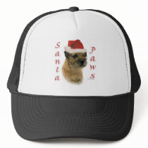 Border Terrier Santa Paws