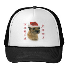 Border Terrier Santa Paws Mesh Hat