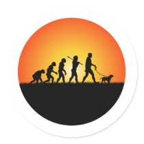 Border Terrier Stickers