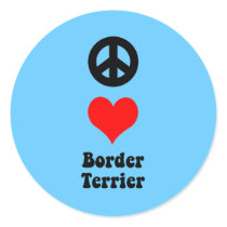Border Terrier