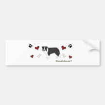 BorderCollie Bumper Stickers