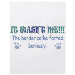 BorderCollie Flyer