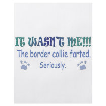 BorderCollie Flyer