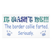 BorderCollie Personalized Photo Card