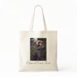 Boreas Bags