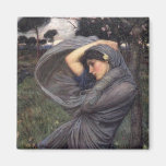Boreas Fridge Magnets