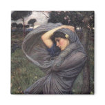 Boreas magnets