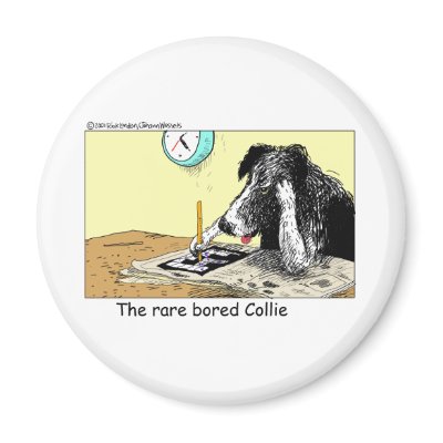 Bored Border Collie Funny Gifts Tees Collectibles Refrigerator Magnet by beardiethor123