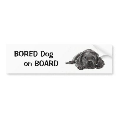 BORED DOG ON BOARD: Pencil Art by joyart