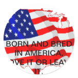 BORN AND BRED IN AMERICA, LOVE IT OR LEAVE IT. STICKERS