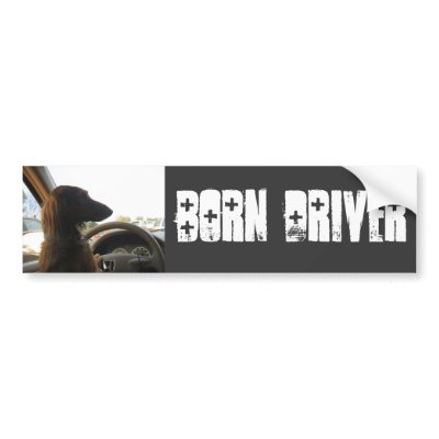 born drive bumper stickers by wacobl