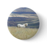 Born Free Wild Mustang Horse Buttons