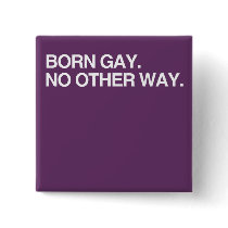 BORN GAY. NO OTHER WAY PINS