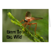 Born To Be Wild Greeting Cards