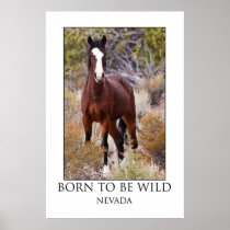 Born To Be Wild Print