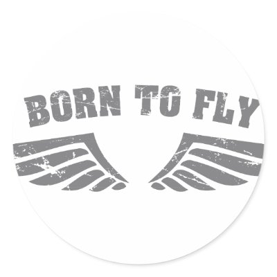 Born To Fly Wings by clearedtoland