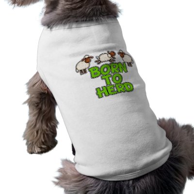 born to herd dog t shirt by cfkaatje