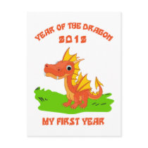 Born Year of The Dragon 2012 Baby Gift
