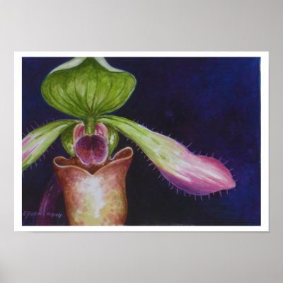 Borneo Slipper Orchid P.Hookerae Watercolor Art Po Print by EdoenKang