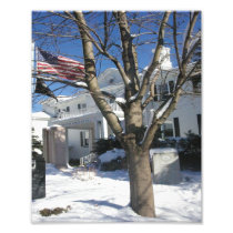 Borough Hall Winter Art Photo