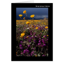 Borrego Springs, California Greeting Card