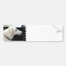 Borzoi Dog Bumper Sticker