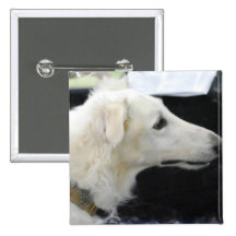 Borzoi Dog Button