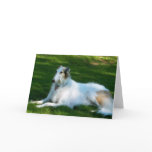 "Borzoi" Dog Photo Greeting Card
