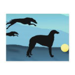 Borzoi Dogs Chasing Ball Post Card
