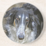 Borzoi Rescue Dog Drink Coasters