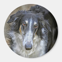 Borzoi Rescue Dog Fridge Magnets