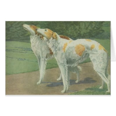 Borzoi (Russian Wolfhound) Greeting Cards by biologybase