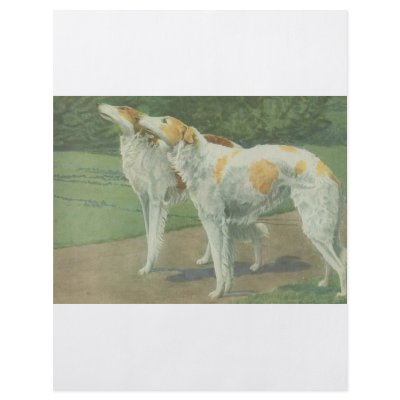 Borzoi (Russian Wolfhound) Full Color Flyer by biologybase