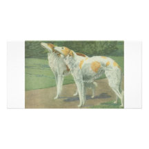 Borzoi (Russian Wolfhound) Picture Card