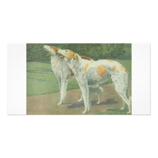 Borzoi (Russian Wolfhound) Picture Card