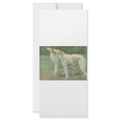 Borzoi (Russian Wolfhound) Rack Card by biologybase