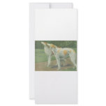 Borzoi (Russian Wolfhound) rack cards