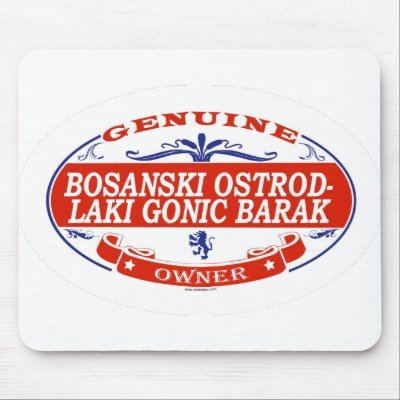 Bosanski Ostrodlaki Gonic Barak by GenuineDogOwner