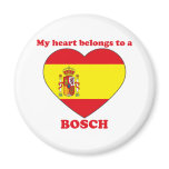 Bosch magnets