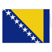 bosnia and herzegovina