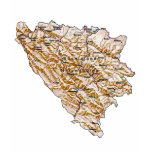 Bosnia Herzegovina Flag and Map T-Shirt