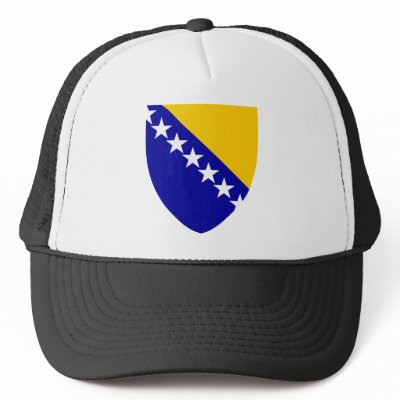 Bosnia Herzegovina Official Coat Of Arms Heraldry by inquester